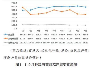前三季度白羽肉雞產業發展回顧與未來走勢分析