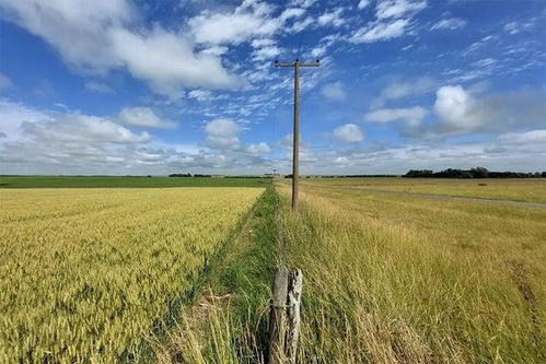 阿根廷畜牧漁業飼料銷售迎來中國合作伙伴，數十年來首次重大突破