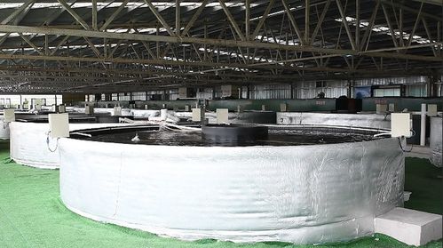 余慶縣智慧漁業(yè) 科技賦能水產養(yǎng)殖，引領飼料銷售新變革