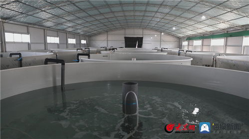 創(chuàng)新潮涌黃河口⑥ 漁·生態(tài)·智造 墾利區(qū)“漁業(yè)+”融合新模式塑造區(qū)域核心競爭力