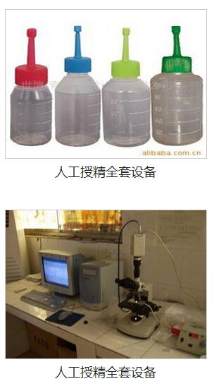 九宮格網絡營銷 助力中小企業數字化騰飛，共筑畜牧漁業飼料銷售新生態