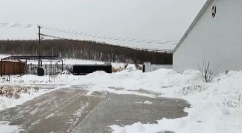 風雪同舟 畜牧部門筑牢防寒屏障，汽車裝飾業迎冬季消費熱潮